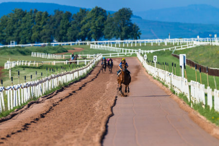 Race horses and jockeys in morning gallop running fitness training on sand track in rural countrysideのeditorial素材
