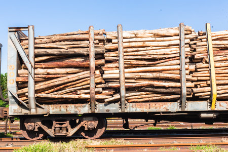 Train rail truck trailers stacked with tree wood poles timber for paper pulp industryのeditorial素材