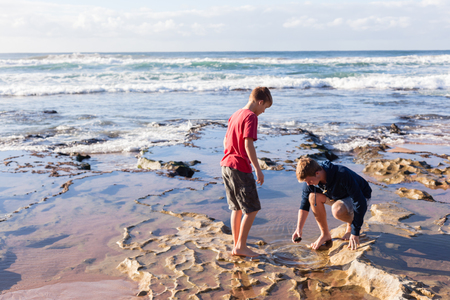 Teen boys checking exploring marine life in ocean beach low tide reefs early morningの写真素材