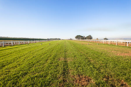 Horse racing training tracks grass, sand, start gates in afternoon colorの写真素材