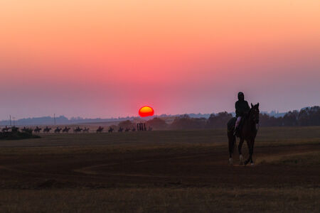 Race horses training with grooms and jockeys at dawn sunrise at summerveld tracks out Durban South-Africa の写真素材