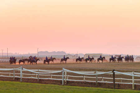 Race horses training with grooms and jockeys at dawn sunrise at summerveld tracks out Durban South-Africa の写真素材