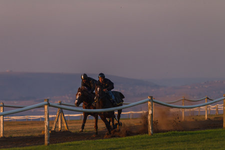 Race horses training with grooms and jockeys at dawn sunrise at summerveld tracks outside Durban...