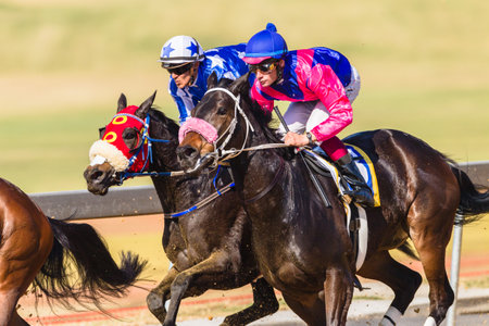 Horse racing action of jockeys races at Greyville racecouse sand and grass for Durban July vodacom cup.のeditorial素材