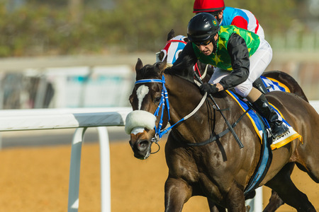 Horse racing jockeys action close-up at Greyville grass track for Durban July のeditorial素材