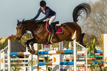 Girl Horse Jumping Nationals Championship  scenes and close-up action of riders men woman at Shongweni Hillcrest outside Durban South Africa  10th Aug 2014のeditorial素材