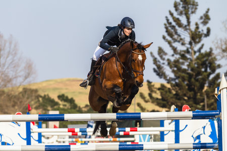 Girl Horse Jumping Nationals Championship  scenes and close-up action of riders men woman at Shongweni Hillcrest outside Durban South Africa  10th Aug 2014のeditorial素材