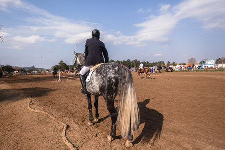 Horse Jumping Nationals Championship  scenes and close-up action of riders men woman at Shongweni Hillcrest outside Durban South Africa  10th Aug 2014のeditorial素材