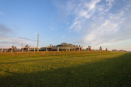 Race Horses jockeys sand grass tracks morning training landscapeのeditorial素材