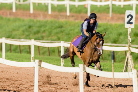 Horse Racing morning training at Summerveld outside Durban South-Africaのeditorial素材
