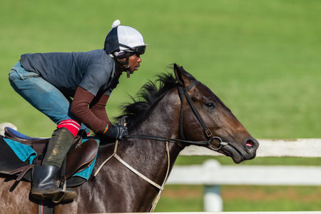 Horse Racing morning training at Summerveld outside Durban South-Africaのeditorial素材