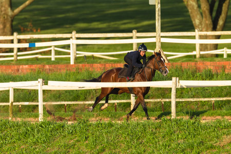 Race horse jockey rider sprint running training on track landscape.のeditorial素材