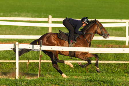 Race horse jockey rider sprint running training on track landscape.のeditorial素材