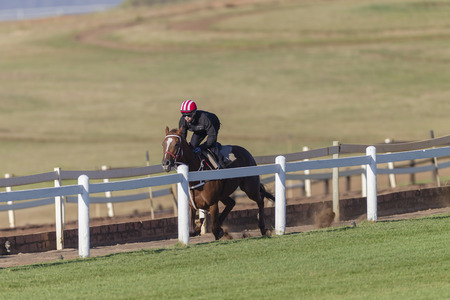 Race Horse jockey morning training track landscape
