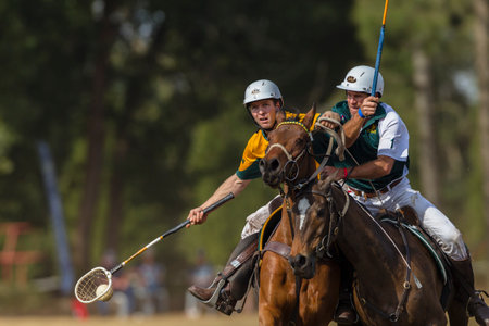 Polocrosse sport world-cup Australia's Will Weston v Zimbabwe play action at Shongweni equestrian fieldsのeditorial素材