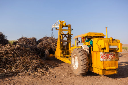 Agriculture tractor hydraulic arm lifter loading sugarcane crops into truckのeditorial素材