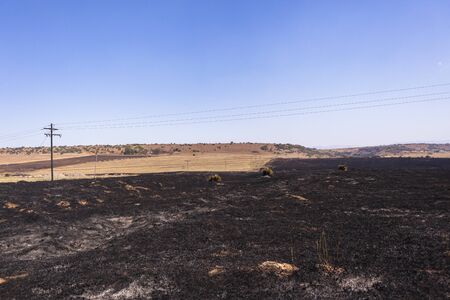 Fire burned farming landscape in rural countryside in dry seasonの写真素材