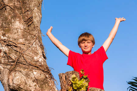 Boy Teenager in tree dreaming future summer blue dayの写真素材