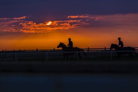 Race horses riders training dawn silhouetted track.の写真素材
