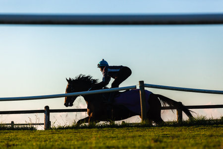 Race horses rider jockey training track action morning silhouetted landscape.のeditorial素材
