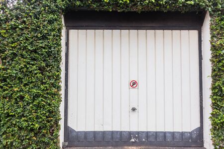 Garage door with ivy creepers growing flora over entrance boundary walls.