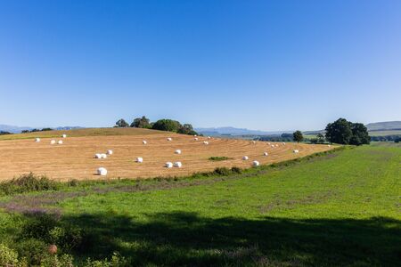 Farming cattle feed grass hay bales wrapped in plastic over fields on scenic mountain landscape