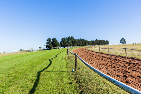 Race horse training sand and grass tracks morning landscapeの写真素材