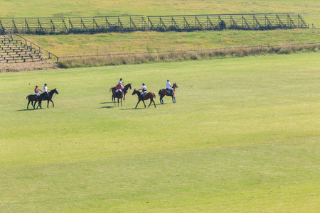 Polo rider players horses for social club game  countryside field landscape .のeditorial素材