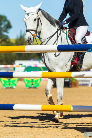 Horse jumping poles closeup blurred unidentified riderのeditorial素材