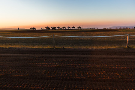 Race horses dawn silhouetted animals riders training track landscapeの写真素材