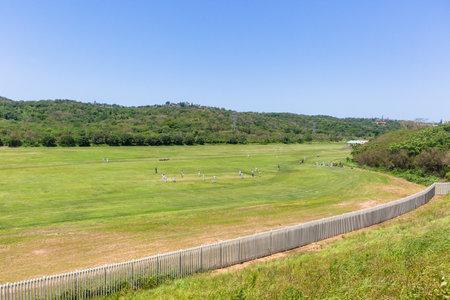 Cricket games teenagers players bowler unidentified action landscapeのeditorial素材