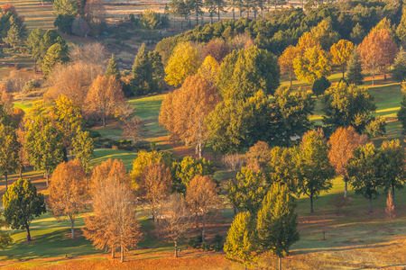 Early morning autumn fall colors overlookings trees scenic landscape.の写真素材