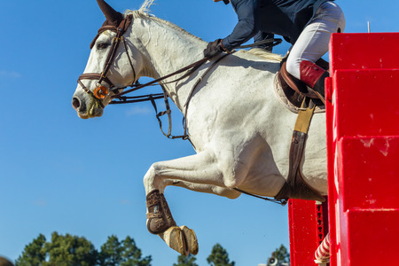 Equestrian animal show jumping closeup action horse rider over poles in mid flight.の写真素材