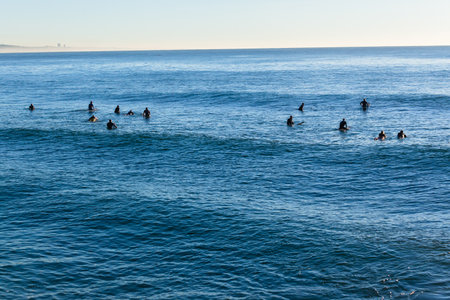 Surfing longboards girls boys morning silhouetted waiting for ocean waves.のeditorial素材