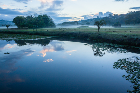 Golf Course dawn water holes  mist trees valley landscapeの写真素材