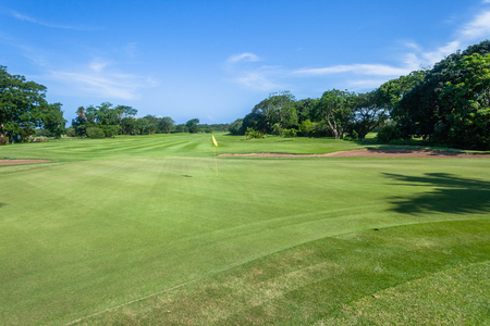 Golf course fairway hole flagstick green trees scenic summer coastal course.の写真素材