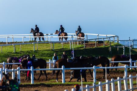 Race horses and riders unidentified silhouetted walking riding animals exercise morning training...