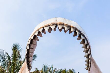Large great white shark teeth model structure outdoors closeup Jaws statue