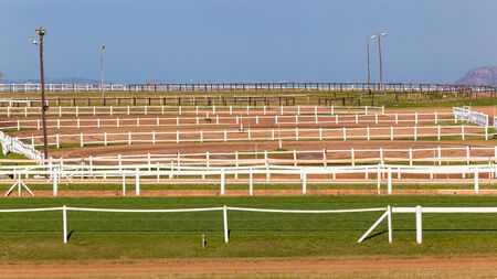 Equestrian horse race training outdoor countryside panoramic landscape of white wood poles sand paddocks  with grass track.の写真素材