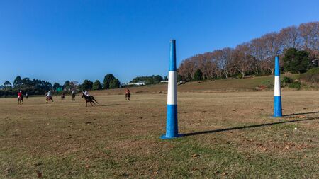 Polo  equestrian game action riders horses goals  panoramic  field landscape.の写真素材