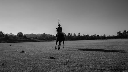 Polo Rider Horse Silhouetted Closeup black and white panoramic field landscapeの写真素材
