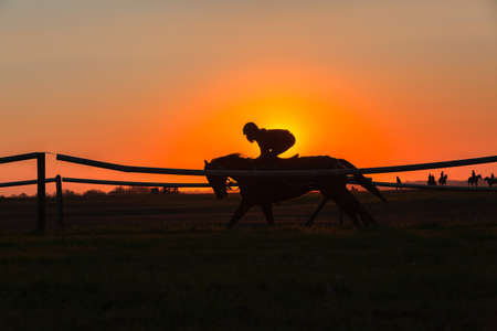 Race horse jockey rider training early dawn sunrise closeup running action silhouetted  a scenic outdoors equestrian landscape.の写真素材