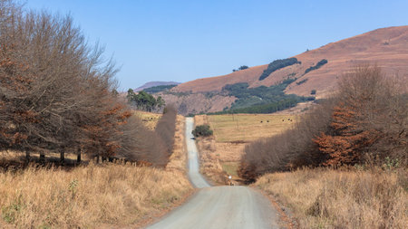 Dirt road route panoramic photo image in the Midlands of KZ Natal on the way to Dargle and Empendle...