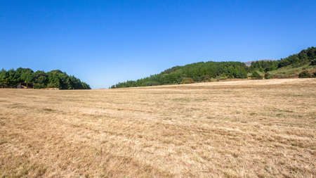 Forest Farm with Large Open field in blue sky a panoramic landscape.
