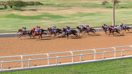 Horse racing overhead action of jockeys horses on race  sand poly trackの写真素材