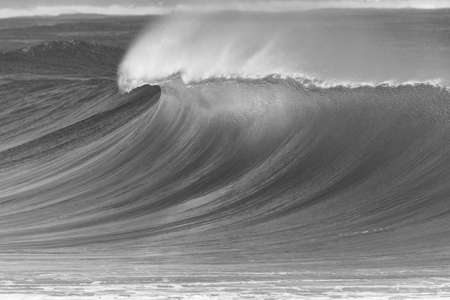 Ocean wave upright sea water crashing breaking in scenic black and white photo.