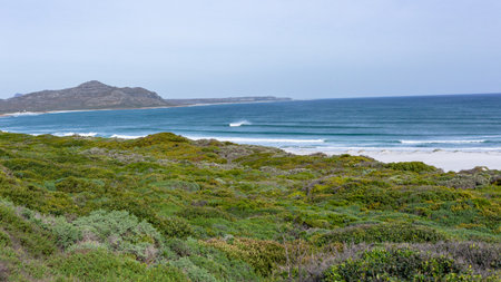 Beach coastline vegetation overlooking scenic Atlantic ocean waves landscape at Scarborough Cape Point Cape Town.の写真素材