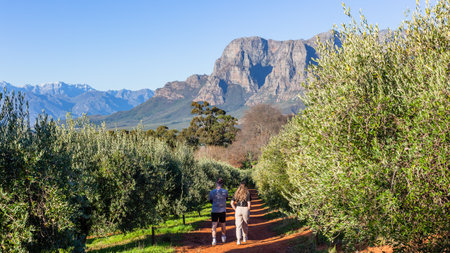 Girl Boy walking between Olive Trees over the farmlands valley next to high mountain terrain a scenic landscape.の写真素材
