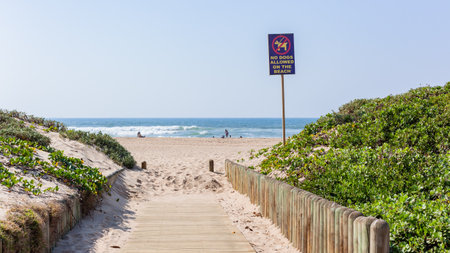 Beach public passage walking path with no dogs allowed sign between sand dune vegetation towards blue ocean sea horizon .の写真素材
