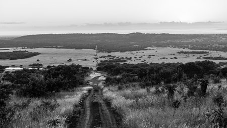 Wilderness valley overlooking dirt road route  through wildlife  grasslands plateau landscape.の写真素材